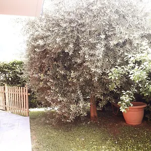  Bed & Breakfast Beb Ulivo Italia